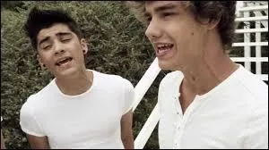 Que ne font-ils pas ?