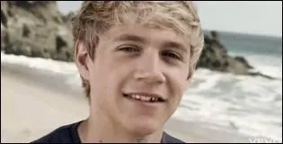 Que sort Niall de la voiture des garons ?