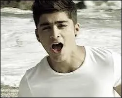 Que chante Zayn en solo ?