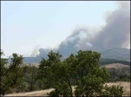 Le sirocco est un vent froid et sec qui souffle dans les steppes arides d'Asie centrale ?