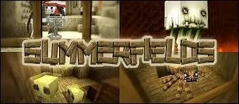 Doit-on avoir  Minecraft  officiel pour mettre un pack de texture ?