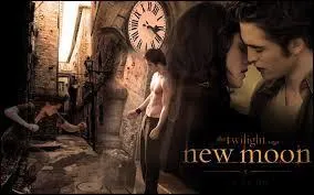 Dans le tome 3, lors de la bataille entre les vampires et les loups-garous, qu'arrive-t-il  Jacob ?