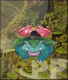 Qui est ce Pokmon ?