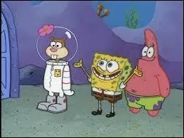 Comment Bob a-t-il rencontr Sandy ?