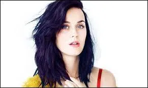 Qui a embrass Katy Perry ?