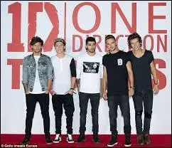 Comment s'appelle leur film sorti en 2013 ?