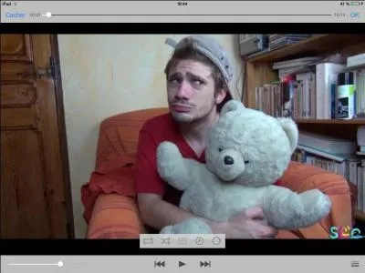 Qui a inspir Mathieu Sommet pour son mission ?