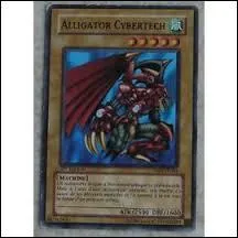 De quel type est ce Yu-Gi-Oh ! ?