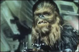 Facile. Ce personnage apparat dans une saga. Mais laquelle ?