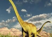 Quiz Sur la trace des dinosaures