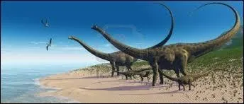 De quelle famille est le diplodocus ?
