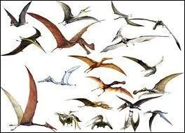 De quelle famille est le ptrodactyle ?