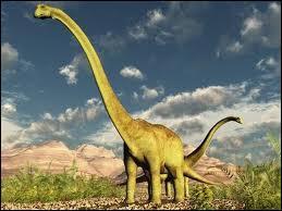 Quiz Dinosaures