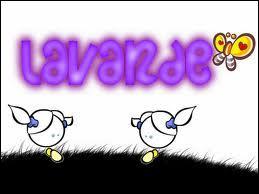  quoi servent les signatures sur Blablaland ?