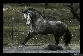 Quelle est cette robe ?