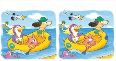 Y a-t-il une erreur entre ces deux images ?