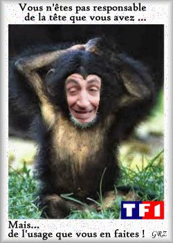 Quiz Animaux