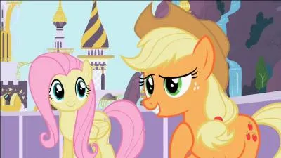 Quel est l'lment d'quilibre d' Applejack et de Fluttershy ?