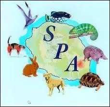 A quelle date la SPA a-t-elle t cre ?