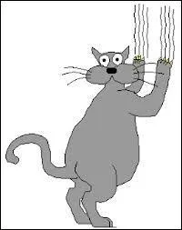 Qui a dit :   Ceux qui jouent avec les chats doivent s'attendre  tre griffs .