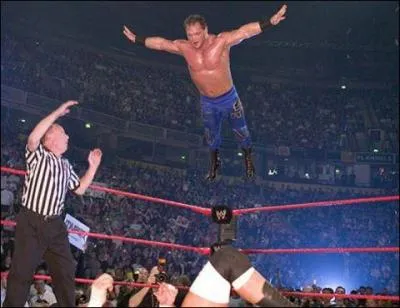 Quel est cet trange gars se prenant ici pour une mouette ?