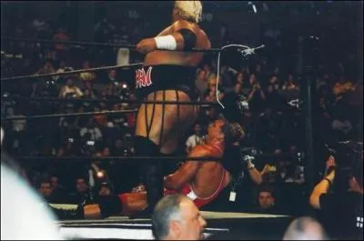 Qui est ce catcheur qui s'apprte  essuyer ses fesses sur Charlie Haas (le jeu de mot ci-prsent est totalement involontaire) ?