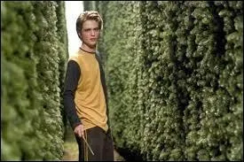 Qui a tu Cdric Diggory  la fin du film ?