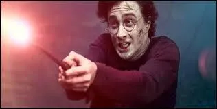 Quel sort Harry jette-t-il en prsence d'un Moldu ?