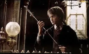 Dans Harry Potter 7, o se trouve l'pe de Gryffondor ?