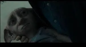 Qui a tu Dobby ? Comment ?