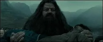 Pourquoi Harry a-t-il survcu quand Voldemort a essay de le tuer pour la deuxime fois ?