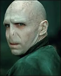 Quels sont les surnoms de Voldemort ?