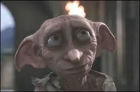 Dans  Harry Potter et la Chambre des secrets , o Harry voit-il pour la premire fois Dobby ?
