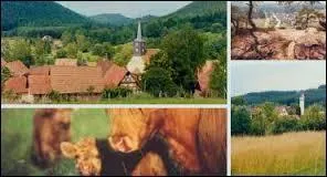 Dambach est une commune Bas-Rhinoise situe en rgion ...