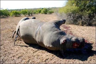 Qu'il soit d'Afrique ou d'Asie, il a exactement le mme problme que le prcdent !