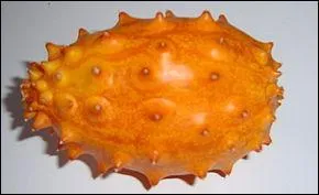 Quel est ce fruit ?