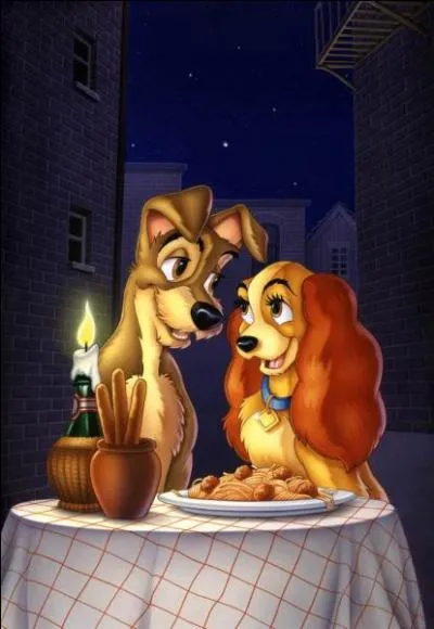 Il vit dans la rue et elle vit une vie de chien de salon. De qui s'agit-il ?