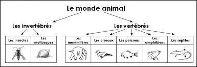 Lequel de ces animaux de la ferme ne fait pas partie de la classe des galliformes ?