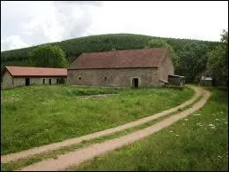 Quel est l'animal le plus grégaire de la ferme ?