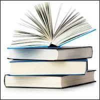 Le premier livre vendu est  Fluid Concepts and Creative Analogies  :