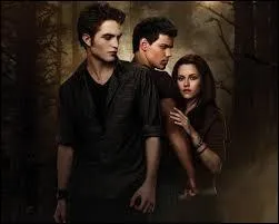 Dans quel chapitre ne voit-on pas Edward ?