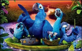 Lequel de ces trois chanteurs n'a pas prt sa voix  un personnage dans le film  Rio 2 