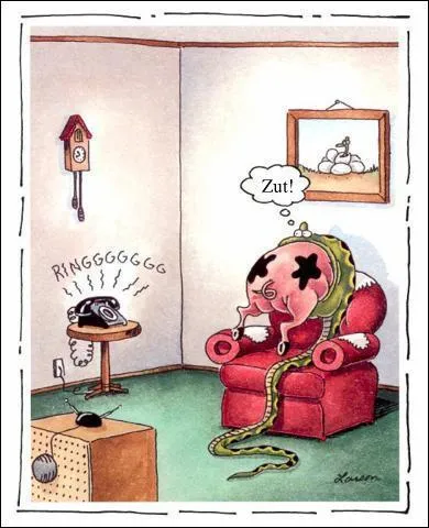 Allo Patricia, c'est maman, je te nique, je nique toute la famille !