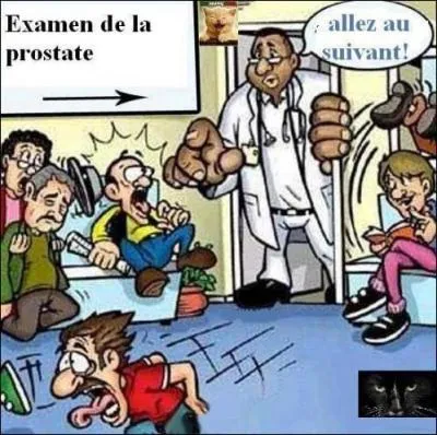 Avez-vous eu des activits nazies durant la seconde guerre mondiale ? -- L je me suis dit, a a l'air trop facile, il doit y avoir un pige !