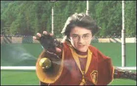 Comment Harry a-t-il attrap le vif d'or ?
