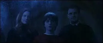 Que voit Harry dans le miroir magique ? ( la premire fois quand il apprend que le miroir existe )