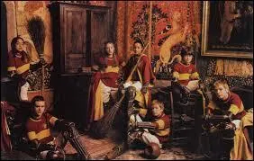 Dans quelle maison est Harry Potter ?