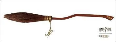 Quel balai Harry obtient-il pendant son petit djeuner ?