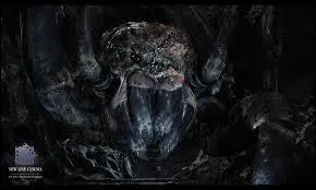 Quel est le vrai nom d'Arachn ?