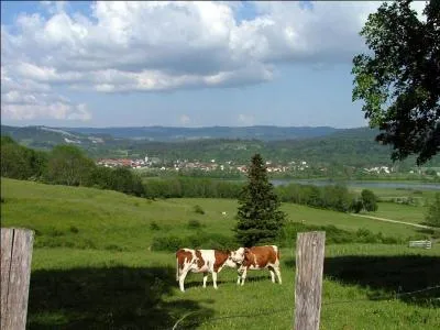 Quel dpartement ne touche pas  celui de l'Ain ?